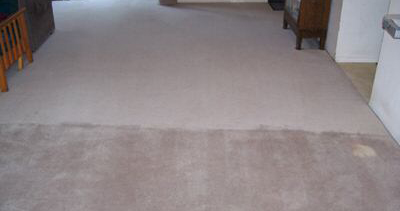 Before and after clean carpet picture 1